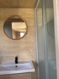 a bathroom with a sink and a mirror at Chalet charmant à Sainte-Marie-du-Mont avec terrasse in Sainte-Marie-du-Mont