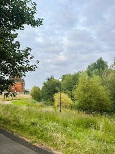 een grasveld met een straatlicht aan de kant van een weg bij Budget stay in Thornaby on Tees