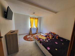 a small bedroom with a bed and a television at Diana's Holiday Home in Podu Dîmboviţei