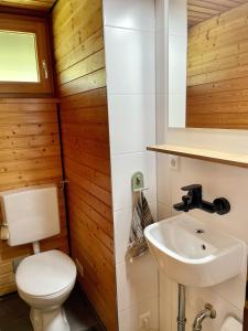 a bathroom with a toilet and a sink at Chalet 22 Bernau in Bernau im Schwarzwald