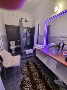 クルジュ・ナポカにあるApartament Luna Gruiaの洗面台、トイレ、鏡のあるバスルーム