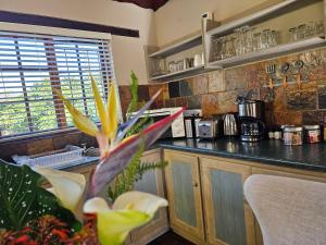Η κουζίνα ή μικρή κουζίνα στο Tsitsikamma Gardens Self-Catering Cottages - Cottage #2