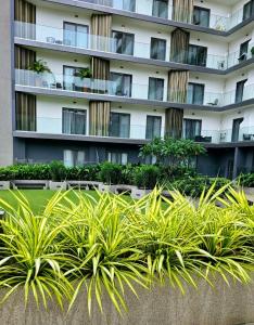 Gallery image of The City Landing Apartments At The Lennox in Accra