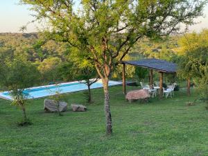 a pool with a table and a gazebo and a tree at La Tina in Córdoba