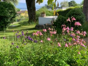 a garden with pink flowers in the grass at 'Le Petit Clos Suites'- Charming Getaway on Leman Lake in Nyon