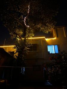 Raj Andar Guest House外面的花园