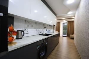 een keuken met een spoelbak en een wasmachine bij Chanko Apartment in Borjomi