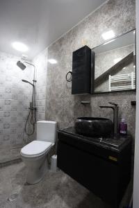 een badkamer met een toilet, een wastafel en een spiegel bij Chanko Apartment in Borjomi +9 foto's