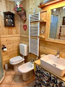 ein Holzbadezimmer mit einem WC und einem Waschbecken in der Unterkunft Le Grenier de Olga e Mario in Pré-Saint-Didier + 42 Fotos