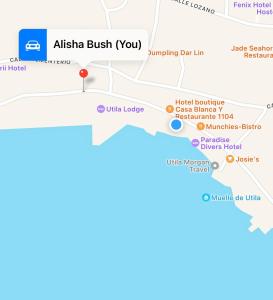 Fotografie z fotogalerie ubytování Blue Sky Retreat v destinaci Utila