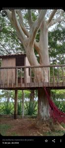 O grădină în afara Camping Casa na Árvore do Tietê
