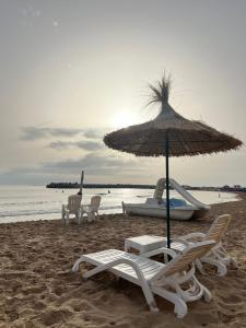 Fotografie z fotogalerie ubytování GARDENIA HOTEL ORAN v destinaci Ain el Turk