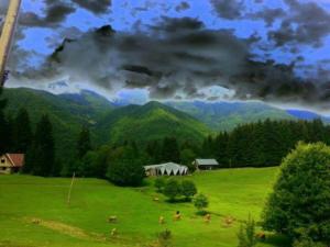 Paesaggio naturale nelle vicinanze dell'affittacamere