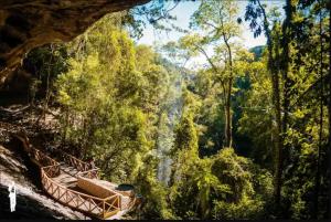 a waterfall in the middle of a forest at Casa Lar Azul in Rio Forcação +11 photos