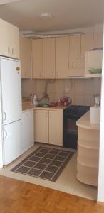 A kitchen or kitchenette at Apartman DivčiKom