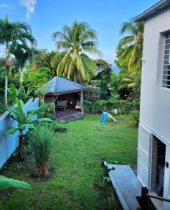 a yard with a house and palm trees at Au pied de la Soufrière in Saint-Claude