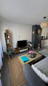 a living room with a couch and a tv at Escapade Cambresienne in Cambrai