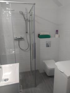 a bathroom with a shower and a toilet and a sink at Mieszkanie 2-pokojowe 40 m2 blisko centrum in Starogard Gdański