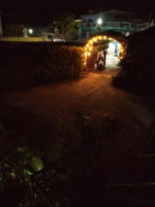 科万Hotel Casa Chapultepec的相册照片