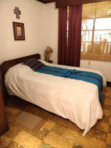 Hotel Casa Chapultepec客房内的一张或多张床位