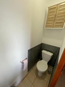 une salle de bain avec des toilettes et un rouleau de papier toilette dans l'établissement T2 Alba Rossa n 141 Confort, Panorama Mer Incroyable, à Serra-di-Ferro 12 autres photos