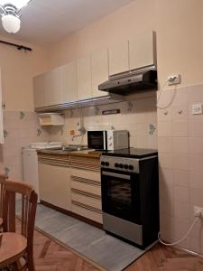 Kuchyňa alebo kuchynka v ubytovaní Apartman Zaric