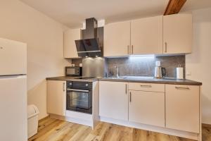Kuchyň nebo kuchyňský kout v ubytování Apartmány Rudník Bolkov