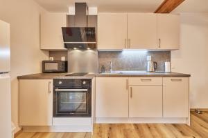 Kuchyň nebo kuchyňský kout v ubytování Apartmány Rudník Bolkov