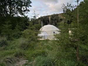 Příroda nedaleko luxury tent