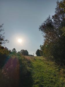 Příroda nedaleko apartmánu