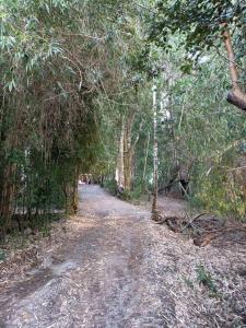 ภูมิทัศน์ธรรมชาติใกล้บ้านพักตากอากาศ