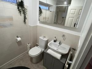 a bathroom with a toilet and a sink and a mirror at Secluded cosy extension with free parking, sleeps 4 in Blackwater +9 photos