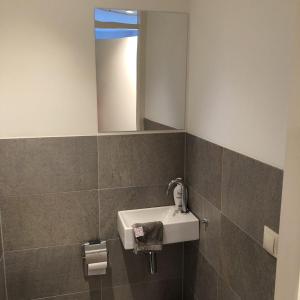 Bilik mandi di De Essenburgh 7-persoons, overdekte hottub en lounge, barrel sauna, sunshower, wifi, omheinde tuin, huisdier vriendelijk