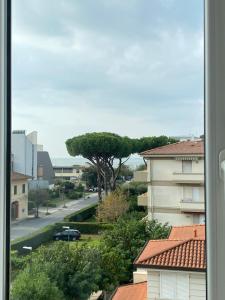 Φωτογραφία από το άλμπουμ του Catamaran στο Λίντο ντι Καμαϊόρε