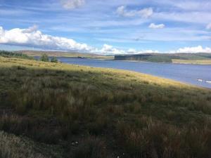 un vaste champ d'herbe à côté d'une masse d'eau dans l'établissement Bwlch Cottage, à Gwaynynog