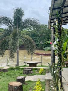 a park with a picnic table and two palm trees at Casa Del Río in Montería