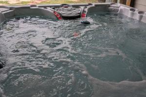 Φωτογραφία από το άλμπουμ του Cedar Creek Ranch σε Cedar Creek