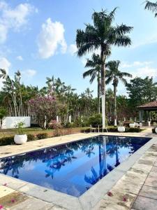 a large swimming pool with palm trees in the background at Sítio brisa do rio Haras in Benevides