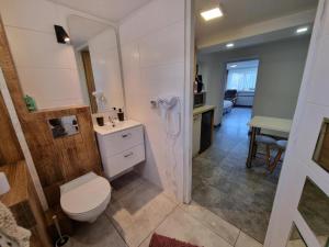 Koupelna v ubytování Sielanka Pod Siglanami 1 + 26 fotografií