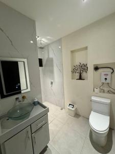 アラフエラにあるbambu houseのトイレと洗面台を備えた白いバスルーム +27枚の写真