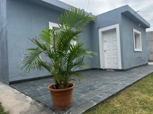 Zahrada ubytování Cordon del Velazco1