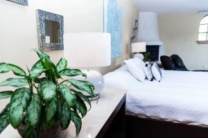 Imagen de la galería de Casa Galeana- Tropical 1-BD 1-WC Mountain Top Luxury Suite with Stunning Views, en Ajijic