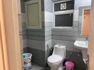 Un baño pequeño con inodoro y lavabo. en Tara Luxury Homes 2BHK, en Solan