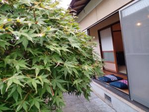 Φωτογραφία από το άλμπουμ του もりたさんち σε Taitsuri-shima