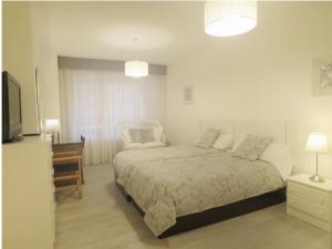 1 dormitorio con 1 cama, vestidor y TV en Pension Mayte, en Pamplona