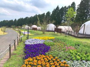 Vrt pred nastanitvijo くじゅう花公園　キャンピングリゾート花と星