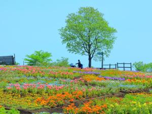 Vrt pred nastanitvijo くじゅう花公園　キャンピングリゾート花と星