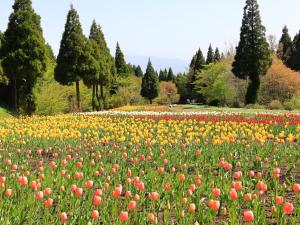 Vrt pred nastanitvijo くじゅう花公園　キャンピングリゾート花と星