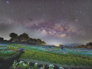 Kujuくじゅう花公園　キャンピングリゾート花と星的夜晚的花田与银河 更多37张照片