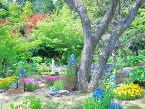 Vrt pred nastanitvijo くじゅう花公園　キャンピングリゾート花と星